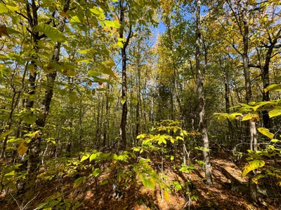 Maine Cold Water Lake Lot Enfield, ME - image 15