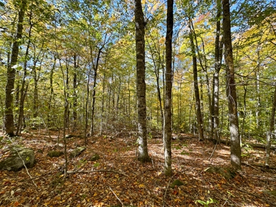 Maine Cold Water Lake Lot Enfield, ME - image 24