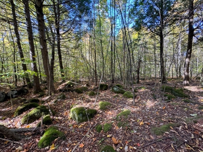Maine Cold Water Lake Lot Enfield, ME - image 22