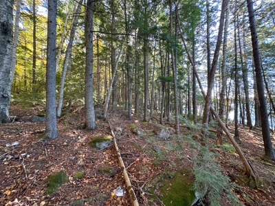 Maine Cold Water Lake Lot Enfield, ME - image 8