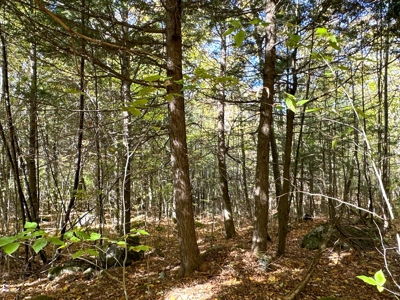 Maine Cold Water Lake Lot Enfield, ME - image 25
