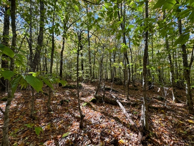 Maine Cold Water Lake Lot Enfield, ME - image 14
