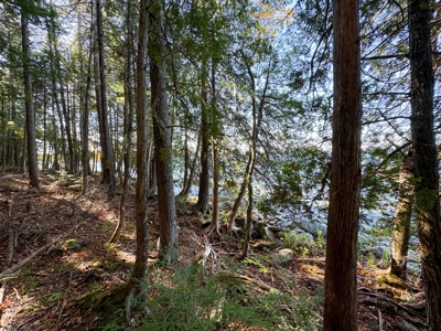Maine Cold Water Lake Lot Enfield, ME - image 11
