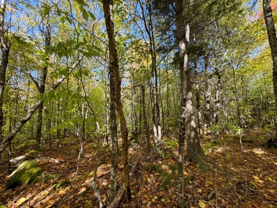Maine Cold Water Lake Lot Enfield, ME - image 12