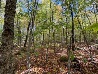 Maine Cold Water Lake Lot Enfield, ME - image 13