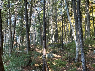 Maine Cold Water Lake Lot Enfield, ME - image 9