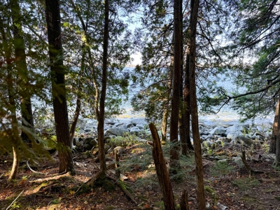 Maine Cold Water Lake Lot Enfield, ME - image 10
