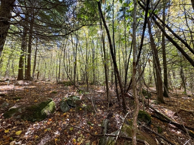 Maine Cold Water Lake Lot Enfield, ME - image 20