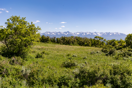 Buckhorn Lakes Ranch--Colorado Elk Hunting Property for sale - image 20