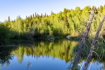 Buckhorn Lakes Ranch--Colorado Elk Hunting Property for sale - image 24