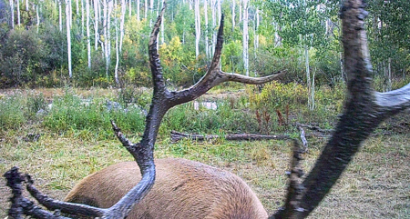 Buckhorn Lakes Ranch--Colorado Mountain Ranch for Sale - image 45