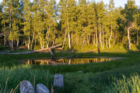 Buckhorn Lakes Ranch--Colorado Elk Hunting Property for sale - image 27