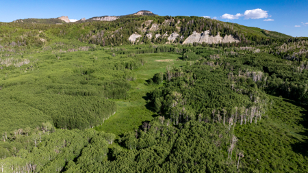 Buckhorn Lakes Ranch--Colorado Elk Hunting Property for sale - image 33