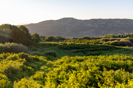 Buckhorn Lakes Ranch--Colorado Elk Hunting Property for sale - image 25