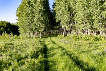 Buckhorn Lakes Ranch--Colorado Elk Hunting Property for sale - image 23