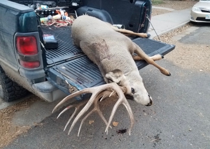 Buckhorn Lakes Ranch--Colorado Elk Hunting Property for sale - image 37