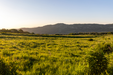 Buckhorn Lakes Ranch--Colorado Elk Hunting Property for sale - image 19