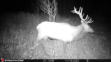 Buckhorn Lakes Ranch--Colorado Mountain Ranch for Sale - image 42