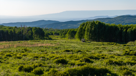 Buckhorn Lakes Ranch--Colorado Elk Hunting Property for sale - image 34