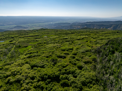Buckhorn Lakes Ranch--Colorado Elk Hunting Property for sale - image 29