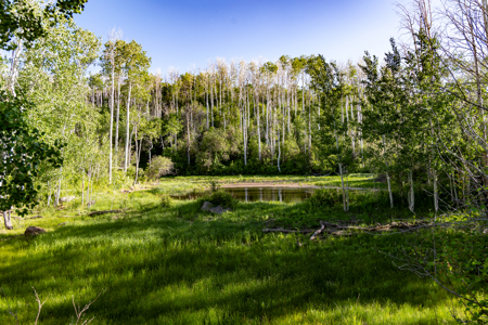 Buckhorn Lakes Ranch--Colorado Elk Hunting Property for sale - image 21