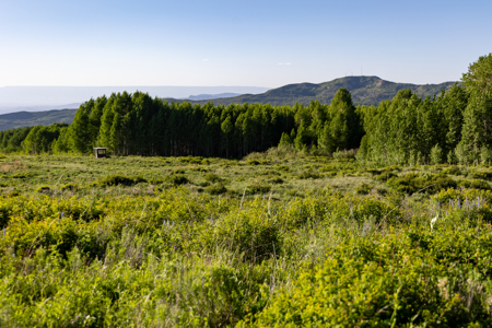 Buckhorn Lakes Ranch--Colorado Elk Hunting Property for sale - image 17