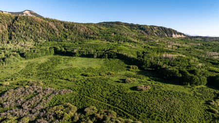 Buckhorn Lakes Ranch--Colorado Elk Hunting Property for sale - image 35