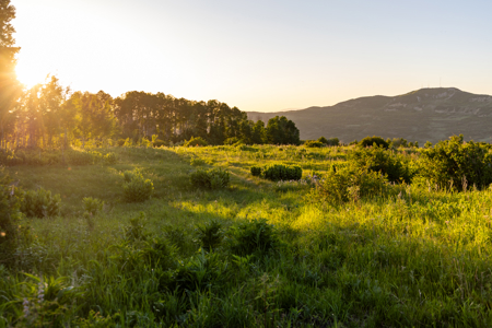 Buckhorn Lakes Ranch--Colorado Elk Hunting Property for sale - image 26