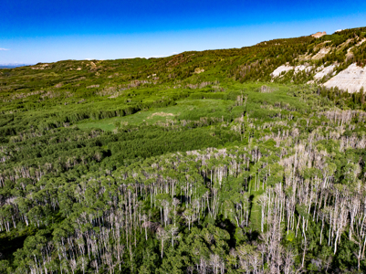 Buckhorn Lakes Ranch--Colorado Elk Hunting Property for sale - image 30