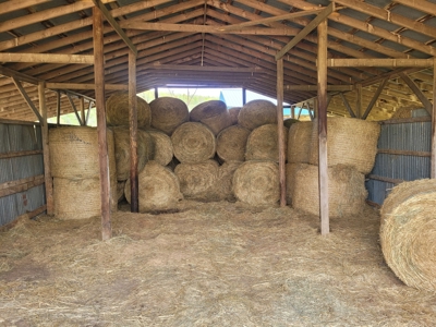 Ozark County, MO Farm for Sale - image 2