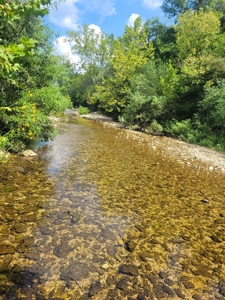 Ozark County, MO Farm for Sale - image 5