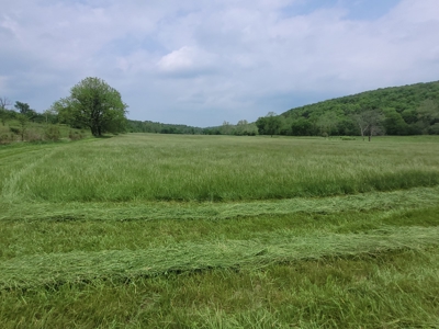 Ozark County, MO Farm for Sale - image 18
