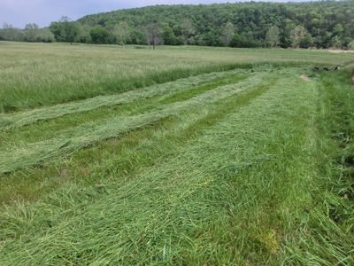 Ozark County, MO Farm for Sale - image 17