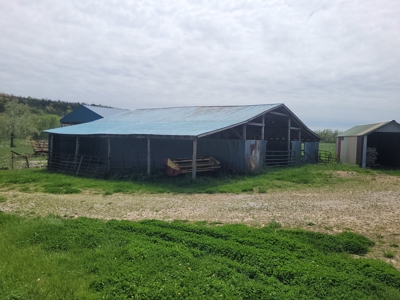 Ozark County, MO Farm for Sale - image 13