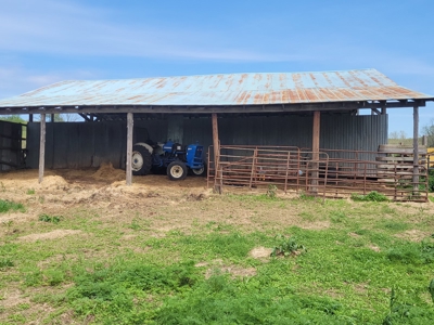 Ozark County, MO Farm for Sale - image 10