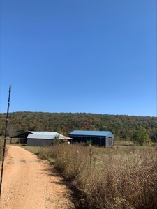 Ozark County, MO Farm for Sale - image 22