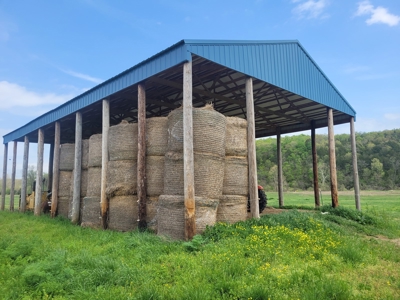 Ozark County, MO Farm for Sale - image 3