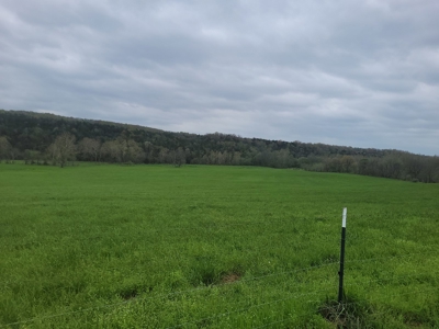 Ozark County, MO Farm for Sale - image 9