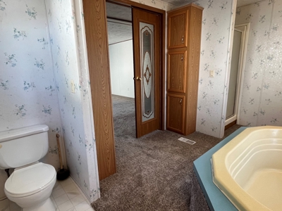 Move In Ready Albia, IA Home For Sale - image 20
