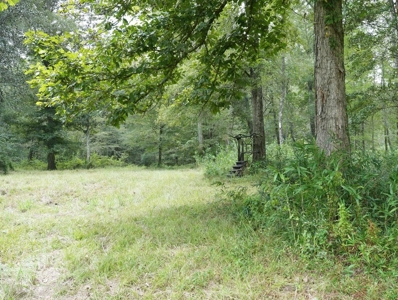 34 Acres Waterfront Property South Mississippi with Cabin - image 33