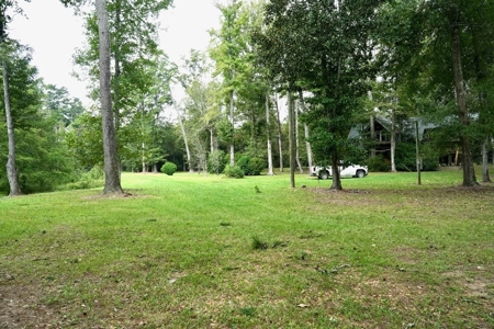 34 Acres Waterfront Property South Mississippi with Cabin - image 39