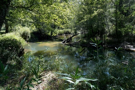 34 Acres Waterfront Property South Mississippi with Cabin - image 24