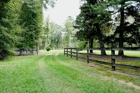 34 Acres Waterfront Property South Mississippi with Cabin - image 4