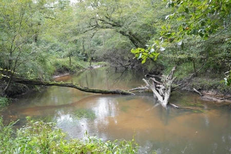 34 Acres Waterfront Property South Mississippi with Cabin - image 1
