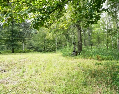 34 Acres Waterfront Property South Mississippi with Cabin - image 37