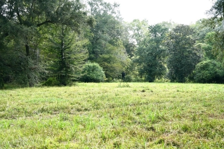 34 Acres Waterfront Property South Mississippi with Cabin - image 36