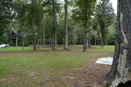 34 Acres Waterfront Property South Mississippi with Cabin - image 38