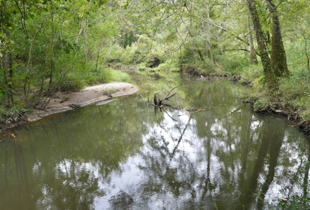 34 Acres Waterfront Property South Mississippi with Cabin - image 29