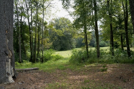 34 Acres Waterfront Property South Mississippi with Cabin - image 31