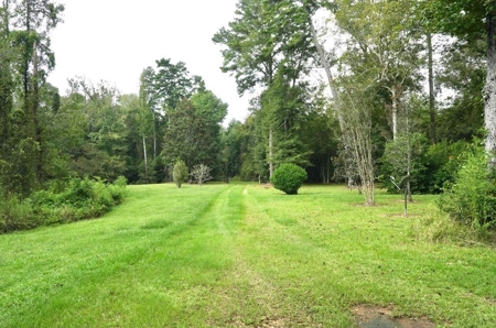 34 Acres Waterfront Property South Mississippi with Cabin - image 40